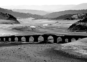 Europe’s evaporating rivers wreak havoc on food and energy production ahead of winter