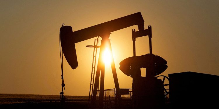 Oil falls to 7-mth low on renewed demand fears, rate hike expectations