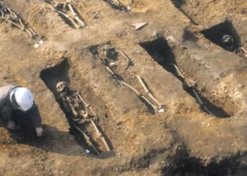 Black Death 700 years ago affects your health now