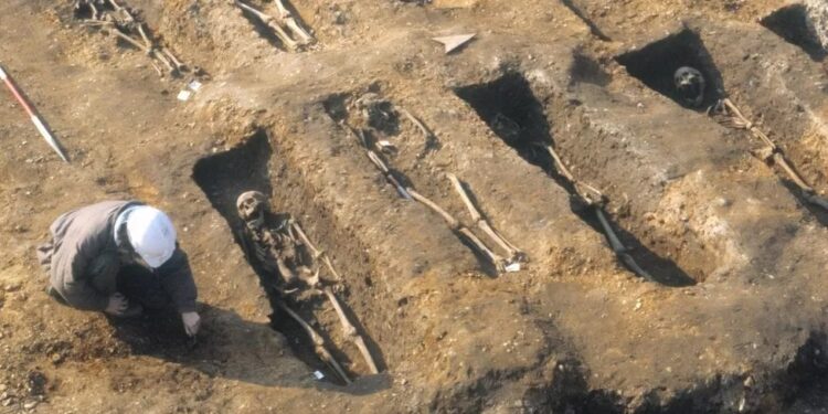 Black Death 700 years ago affects your health now