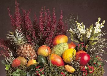 Spain’s subtropical fruit market is ripening, here’s why