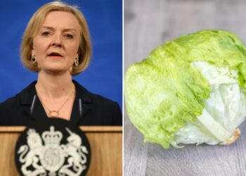 Why is Britain comparing its prime minister to a lettuce?