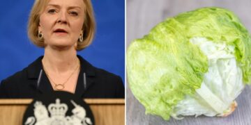 Why is Britain comparing its prime minister to a lettuce?