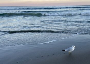 Lawmakers advance the bill to study energy from waves and tides