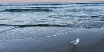 Lawmakers advance the bill to study energy from waves and tides