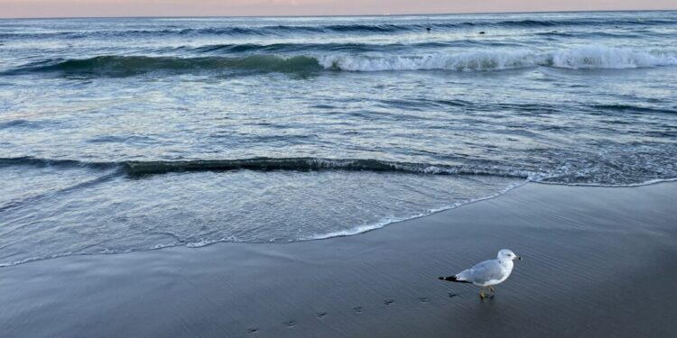Lawmakers advance the bill to study energy from waves and tides