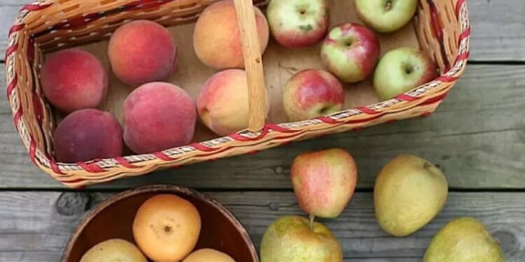 10 things to make with apples before they go bad