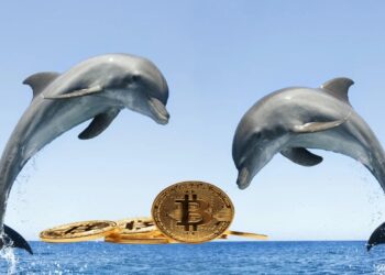 Non-whale Bitcoin investors break new BTC accumulation record