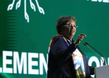 Barbados PM launches blistering attack on rich nations at Cop27 climate talks
