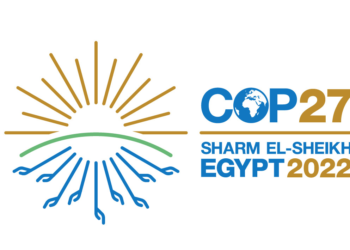 COP27 – Nine people shaping the climate agenda