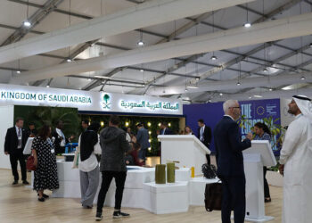 ‘Oil and gas trade show’ promotes carbon capture at Cop27