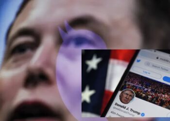 Elon Musk starts Twitter poll on whether to bring back Trump