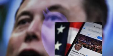 Elon Musk starts Twitter poll on whether to bring back Trump