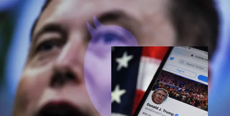 Elon Musk starts Twitter poll on whether to bring back Trump