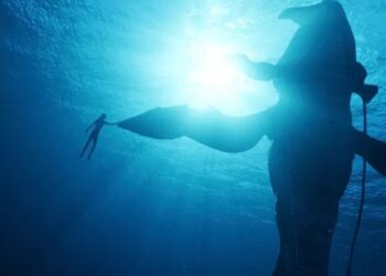 ‘Avatar: The Way of Water’ could be heading for a $175 million box office opening