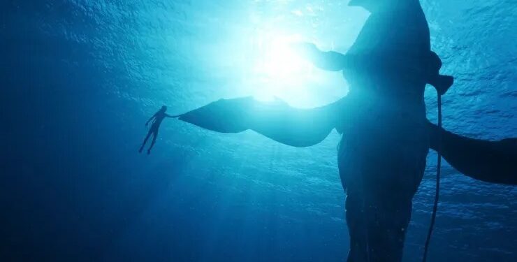 ‘Avatar: The Way of Water’ could be heading for a $175 million box office opening