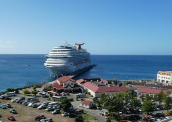 Momentum grows towards 2050 zero-carbon shipping target