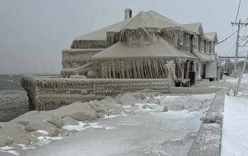 “Blizzard of the century” – over 60 dead