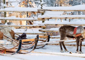 17 best places to spend Christmas