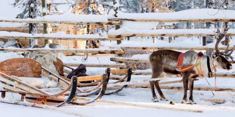 17 best places to spend Christmas