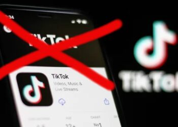 TikTok was banned on US government devices under the spending bill passed by Congress