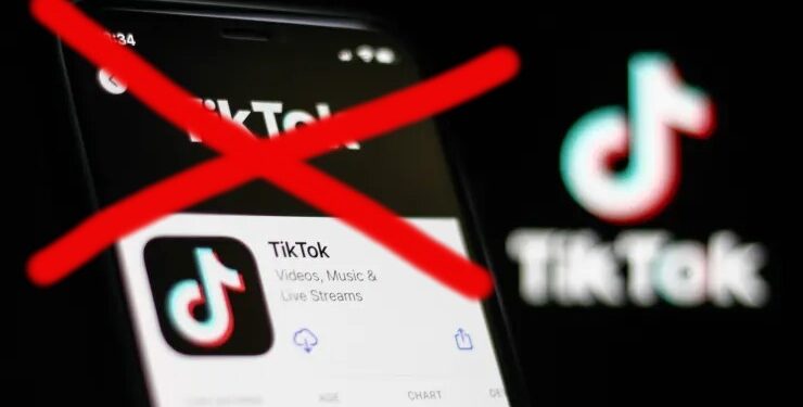 TikTok was banned on US government devices under the spending bill passed by Congress