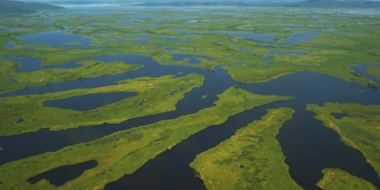 Water as part of the climate solution