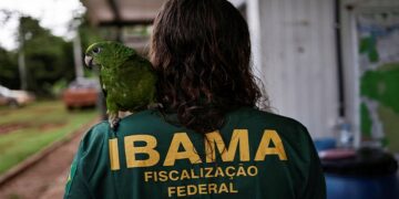 Brazil launches first raids against Amazon tree-cutters under Lula’s new government