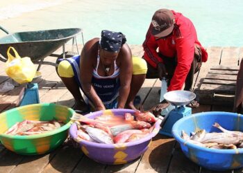 Portugal agrees to swap Cape Verde’s debt for environmental investment