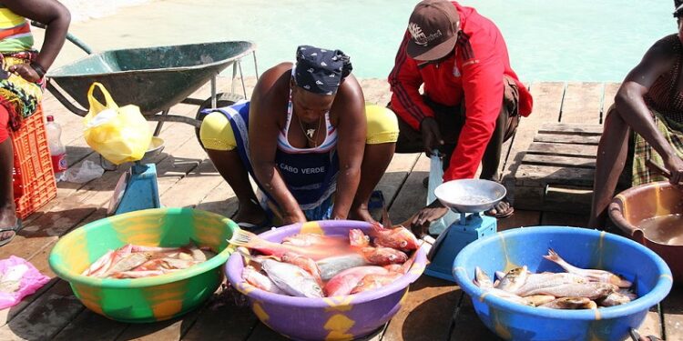 Portugal agrees to swap Cape Verde’s debt for environmental investment