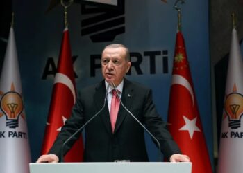 Turkey summons Swedish ambassador over Erdogan effigy protest