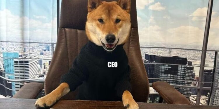 Elon Musk’s dog Floki takes over as Twitter CEO, sparks internet frenzy