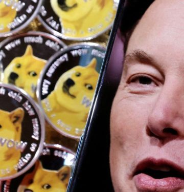 DOGE, Floki soaring after Musk tweets photo of his dog in Twitter CEO chair