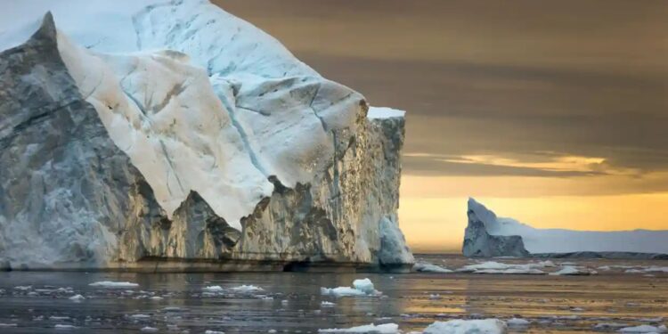 World’s biggest investment fund warns directors to tackle climate crisis or face sack