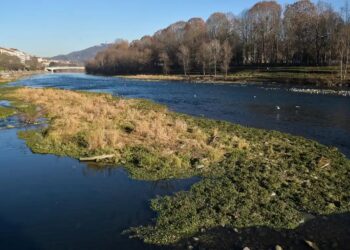 Italy faces another year of severe drought after little winter rain or snow