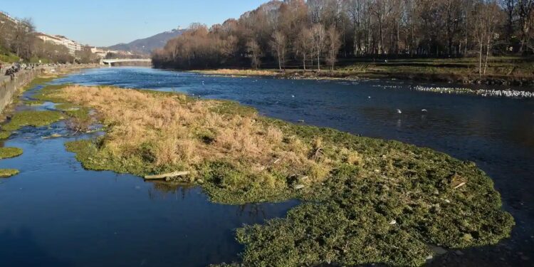Italy faces another year of severe drought after little winter rain or snow
