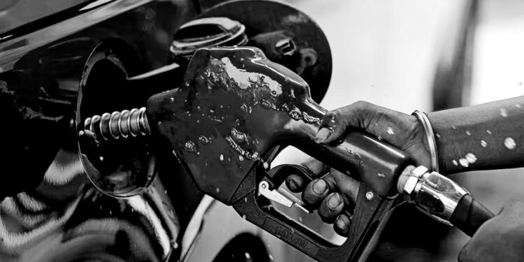 Oil prices fall on U.S. crude reserve release