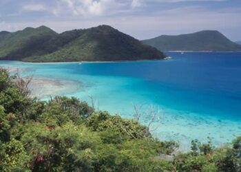 Almost 13,000 offshore companies with UK property fail to declare owners