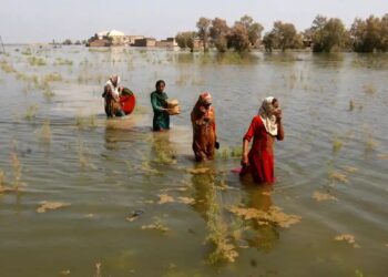 The world can still avoid the worst of climate collapse with genuine change, IPCC says