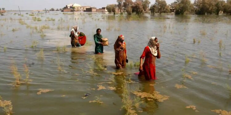 The world can still avoid the worst of climate collapse with genuine change, IPCC says