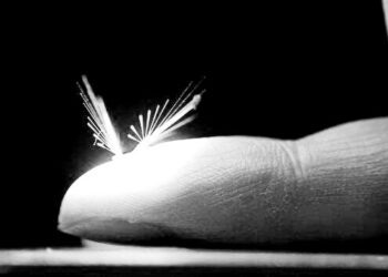 This ‘fairy’ robot flies with the power of light and wind and could pollinate plants