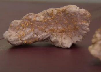 Amateur gold-digger finds record 4.6kg nugget worth hundreds of thousands of dollars