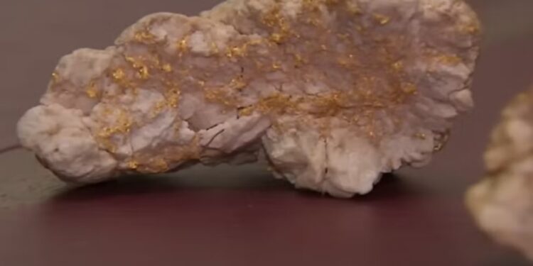 Amateur gold-digger finds record 4.6kg nugget worth hundreds of thousands of dollars