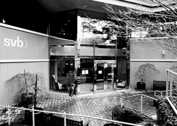 Tech execs race to save startups from ‘extinction’ after SVB collapse