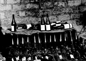 Chile’s wine industry shouldn’t go up in flames