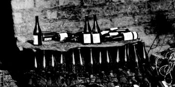 Chile’s wine industry shouldn’t go up in flames