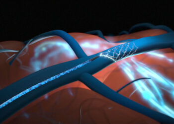 U.S. regulators rejected Elon Musk’s bid to test brain chips in humans