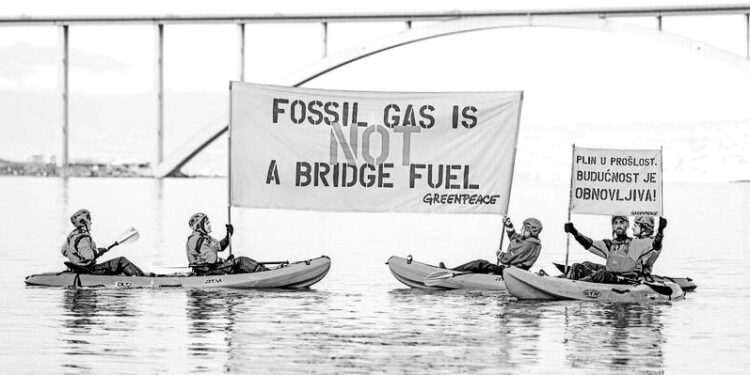 Campaigners sue EU for labeling gas sustainable