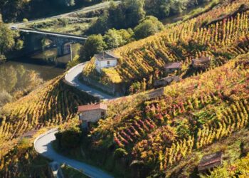 Discover lighter Spanish red wines