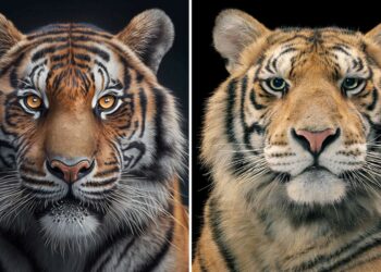 AI art generators face backlash from artists – but could they unlock creative potential?